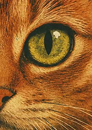 2025-04-25/87cdd661-2dce-46a7-bcbe-9f0b9bd1dfb2