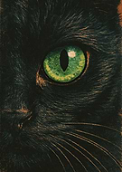 2025-04-25/d5d02d93-ff53-4c53-8a00-c99d1c05abdf