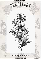 2025-04-27/031cff0d-d9d7-46b3-8900-f9b5935f68b2