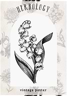 2025-04-27/2cc05478-4604-4c88-b8fc-c5141f6836a9