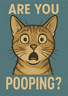 2025-04-27/edb50c23-27e3-4f85-b861-9a99ff177615