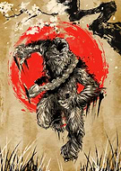 collection-preview-1