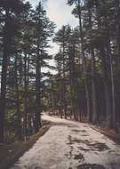 2025-04-30/bf75739d-8d32-473d-9059-da8c5011034a