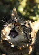 2025-04-30/da6384ba-5de8-4b14-835a-886c123da43e