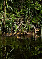 2025-04-30/e15e4e9a-5242-49ed-8550-d0565a399955