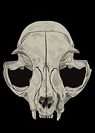 2025-05-01/b51b1608-473b-46d0-8dbc-14bd261472cb