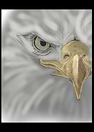 2025-05-01/c2a522cb-36c6-45a2-ba16-98b739beb5d0