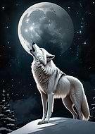 2025-05-03/145494f6-9375-451d-8b0c-432ef570551a