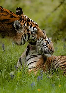 2025-05-04/5c2996fd-5874-4cec-be93-014e3185ee5b