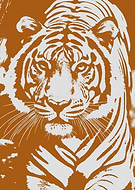 2025-05-06/2155d768-c8e3-47bf-ad88-3aa7be41107d