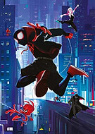 collection-preview-1