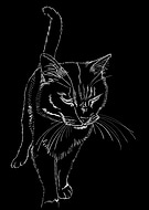 2025-05-08/37933186-5fff-4d85-82e5-cd1b07ab0b3c