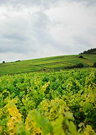 2025-05-08/669b22b0-1faa-4a9e-b62f-c1731e8c4e41