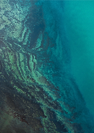 2025-05-08/808a40a9-48ca-4499-a77c-802b59c99f37