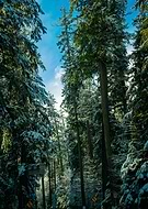 2025-05-16/13fc1b67-1dce-4296-8960-c1a16c8d7d14