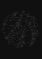 2025-05-17/1daa154c-3c06-4807-90a3-444fb6e83e96