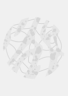 2025-05-17/2d6b1488-5a51-4fde-b10a-9a7cc83836fe