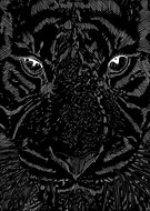 2025-05-17/f671227b-745b-4a9a-be07-5e93ef524d1d