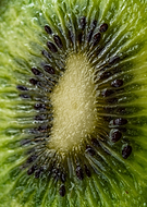 2025-05-19/be5e1386-05ea-4d14-b835-19472fb22be5