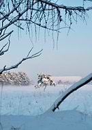 2025-05-20/12b829e2-99f7-48cb-98fa-42ddf079597c