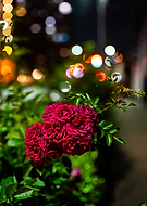 2025-05-20/2f175f54-2f40-4bcf-a845-1c550b381fde