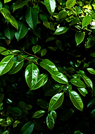 2025-05-20/e4b7b9ba-fd60-498c-9d74-f05bef3812f6