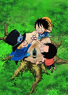 collection-preview-0