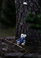 2025-05-24/37164e0c-6032-4299-8b63-035520e8d3be