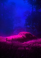 2025-05-24/c853e8e2-6335-4d03-b397-3526975f8d3b