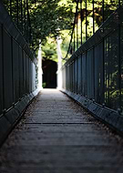 2025-05-25/14780896-7ed5-4688-9ebe-efd56bb6dded