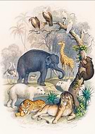 2025-05-27/49061423-2aa6-4d02-bd32-4694a1ca19e7