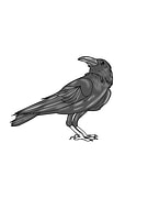 2025-05-30/0146d12b-c9b6-426d-9f3a-f22b767dcfb0