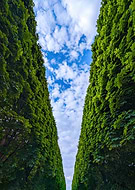 2025-05-30/1f0869fb-909d-4c94-9d4f-51d8c7e37f68