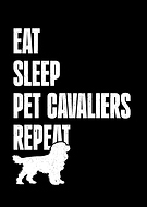 2025-06-01/f0466623-169b-4b9b-878c-eaba4eb00c55