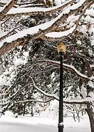 2025-06-03/86a66400-936c-4064-b1a2-1ab3140887b1