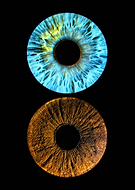 2025-06-05/0947afd5-9519-43a6-b9bc-916c1edd53f7