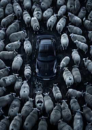 2025-06-06/48a55b2e-6c48-440d-a224-552769cc76e1