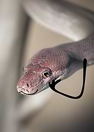 2025-06-06/a8f26641-aac5-4753-84fa-82406b036588