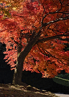 2025-06-07/3e2d09b8-5bb6-48d3-a0ae-b0b1ed01c024