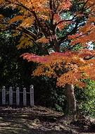 2025-06-07/c6b9522d-a9eb-4327-b296-2b4d948eaf57