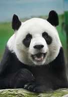 2025-06-08/ed65597a-a036-4c41-b93d-1b8356606395