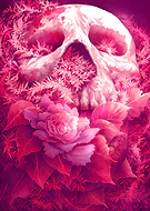 2025-06-11/ec7b6b65-b176-4de6-a30c-72f50e3f8a2d