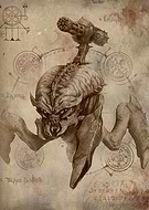 collection-preview-2