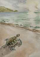 2025-06-15/9839395e-43f5-411e-9dfa-2c46e15756bf