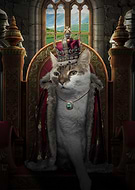 2025-06-15/da4eae34-fe50-43e9-a99e-5631f3593134