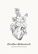 2025-06-20/eaa53d64-cb3d-4042-a2bf-b718622fd2f7