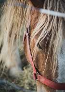 2025-06-24/d334dca6-2d11-4ff5-998e-e493a35063b5