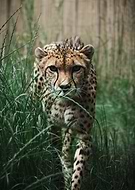 2025-06-26/2d95284d-4f8b-408c-9941-5698d66de7e8