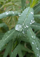 2025-06-27/f0fd6928-99db-4a70-a684-9d96de54347d