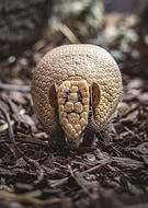 2025-06-28/4d4956fe-7b71-44d1-ac73-ea59c30cb30f